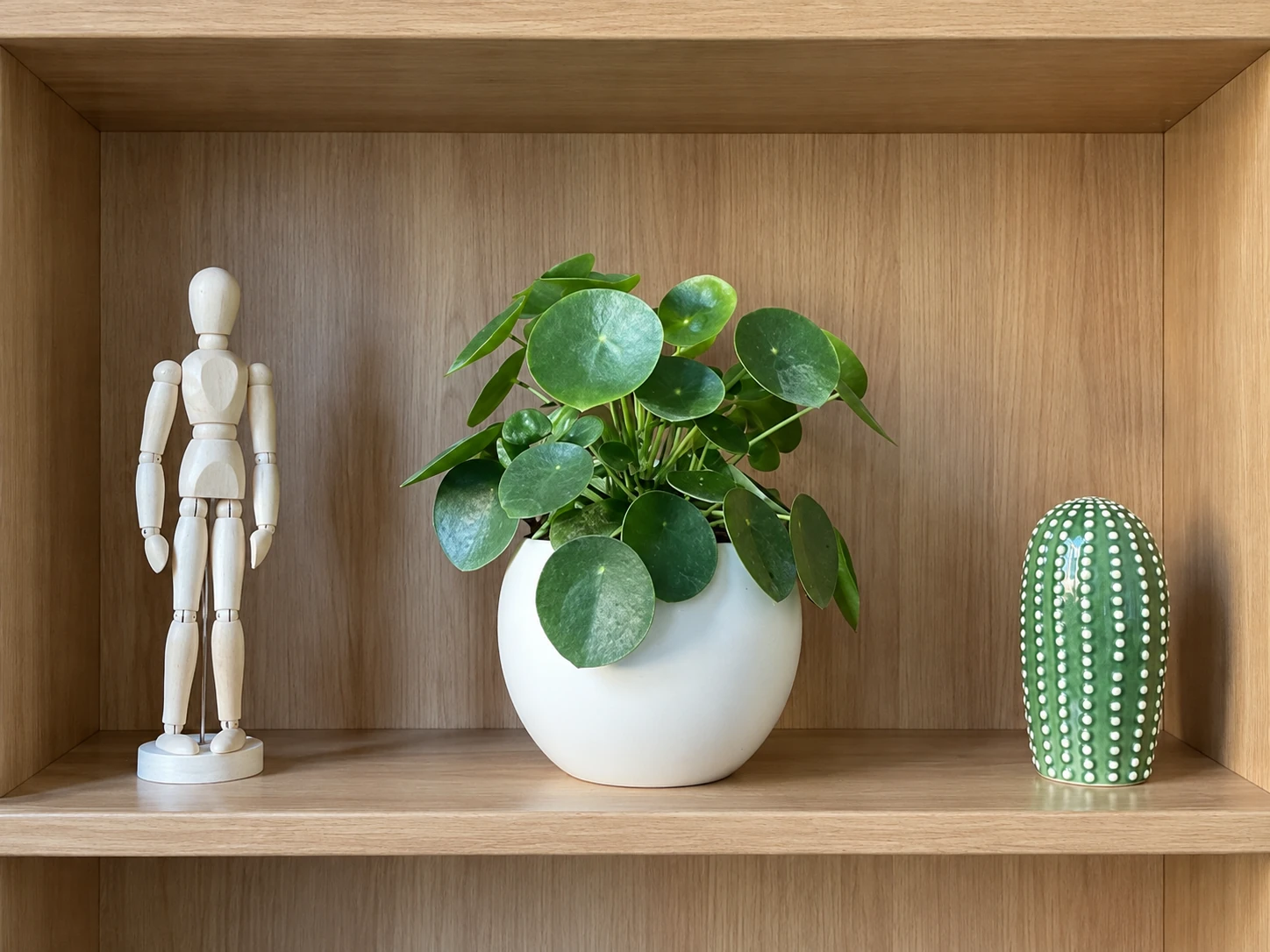 Mensola dello studio con pianta, manichino in legno e cactus in ceramica